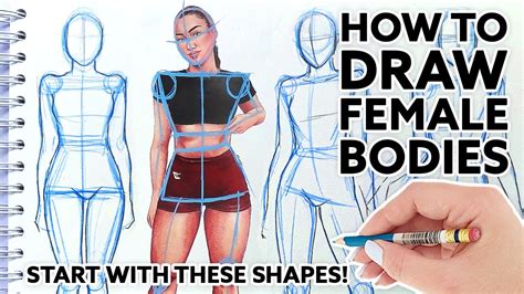 how to draw naked women|How to draw female Bodies 